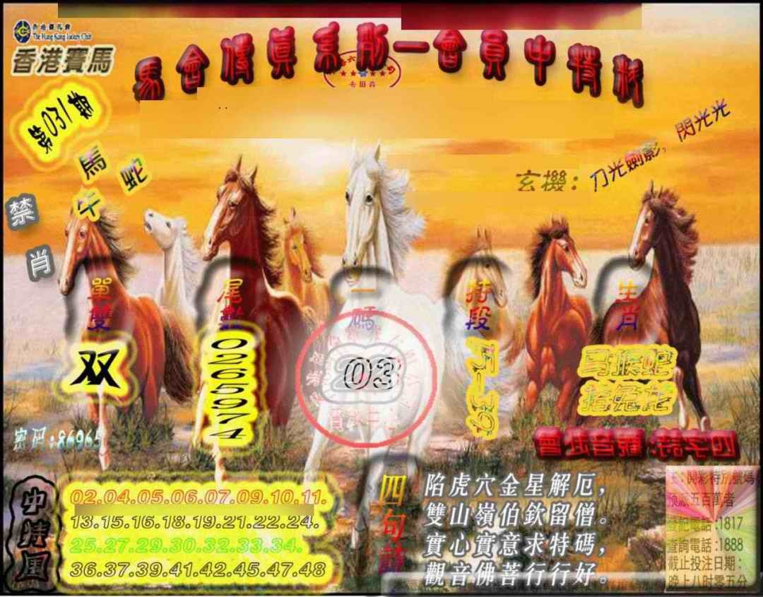 031期马会传真-会员报[图]