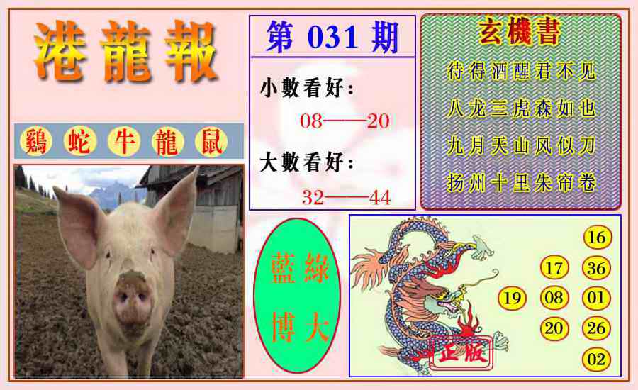 031期港龙报[图]